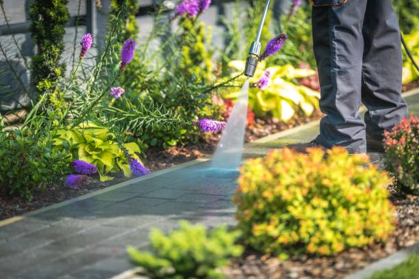 Best Residential House Exterior Washing  in Sherwood, OH
